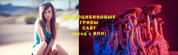 хмурый Балабаново