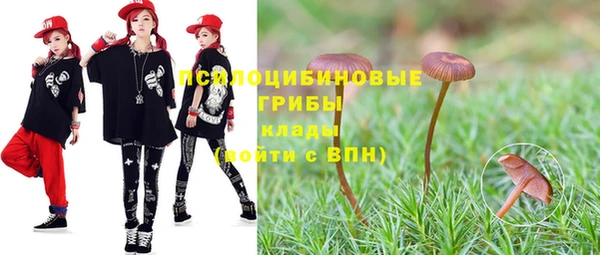 хмурый Балабаново
