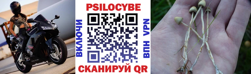 где продают наркотики  Балтийск  Псилоцибиновые грибы прущие грибы 