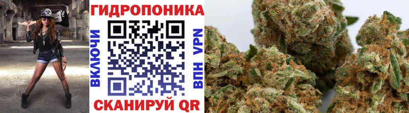 Шишки марихуана SATIVA & INDICA  Балтийск 
